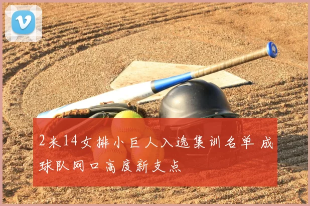 2米14女排小巨人入选集训名单 成球队网口高度新支点