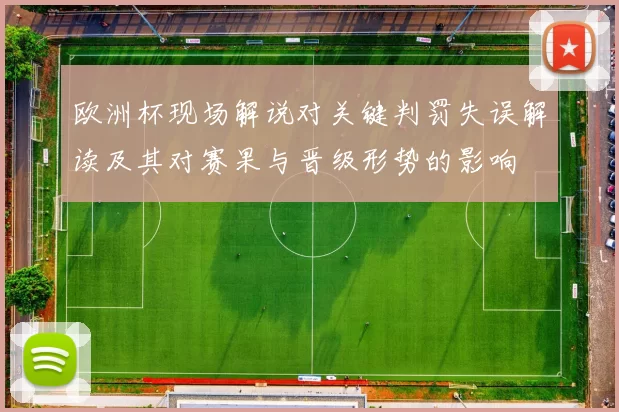 欧洲杯现场解说对关键判罚失误解读及其对赛果与晋级形势的影响