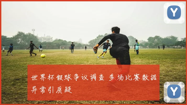世界杯假球争议调查 多场比赛数据异常引质疑